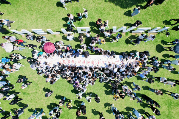 草地上有许多鸟 AI 生成的内容可能不正确。