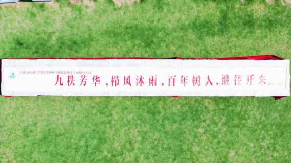 草地上的椅子上 AI 生成的内容可能不正确。